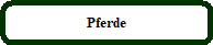 Pferde